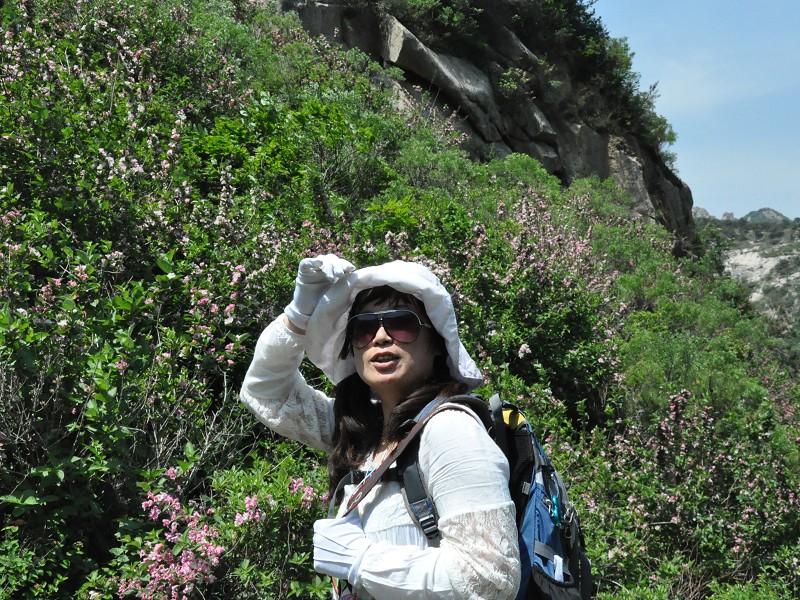 PhotoCap_030.jpg