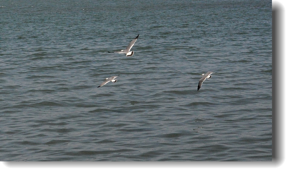 DSC_8244.jpg