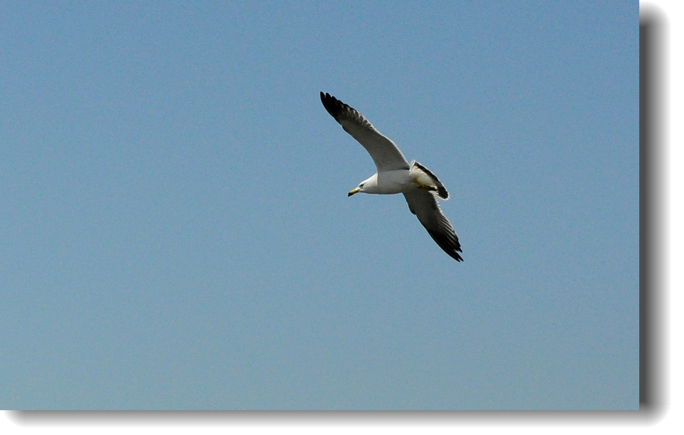 DSC_8249.jpg
