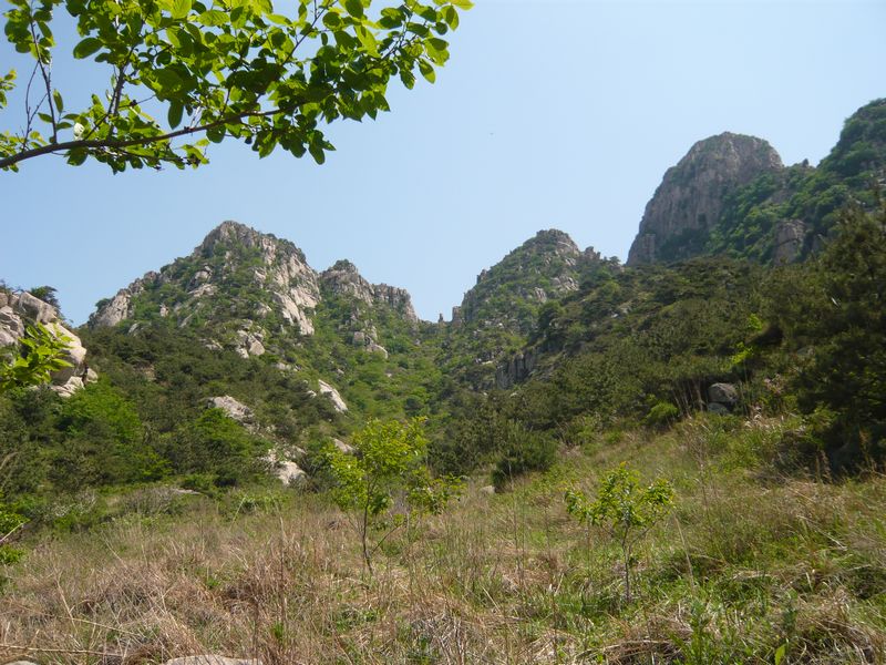 P1040244.JPG