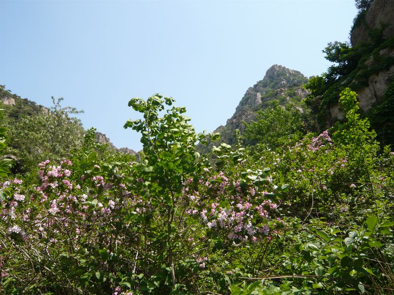 P1040235.JPG