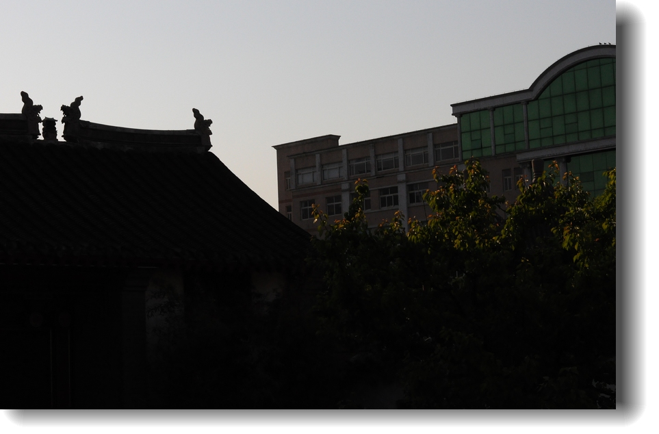 DSC_8272.jpg