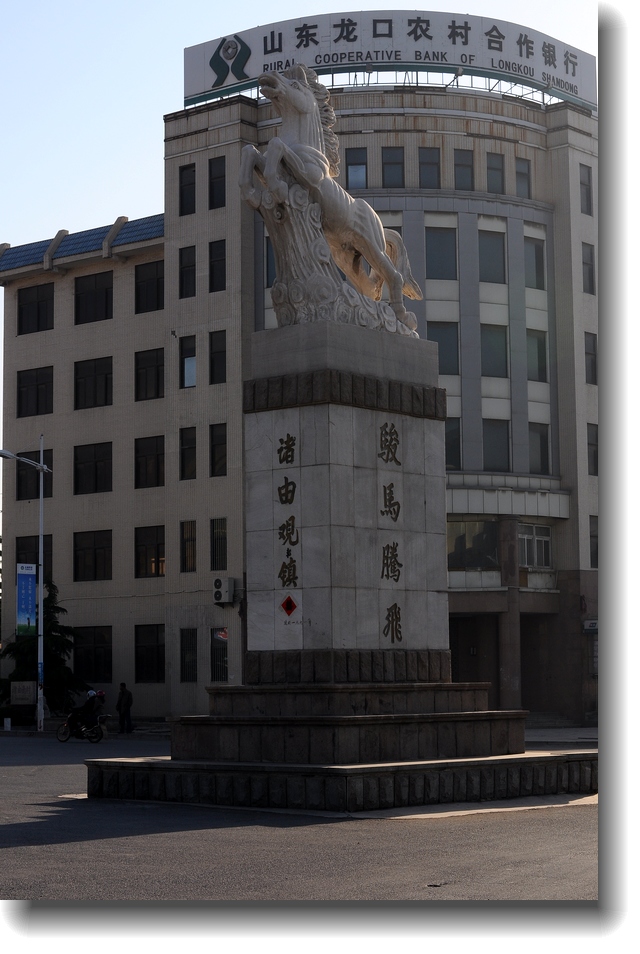 DSC_8294.jpg