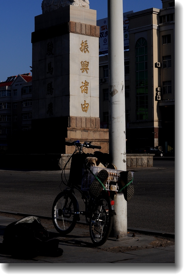 DSC_8296.jpg