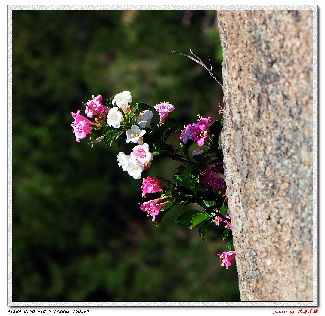 艾山风光 (19).jpg