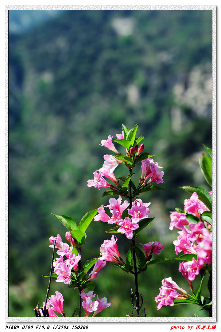 艾山风光 (25).jpg