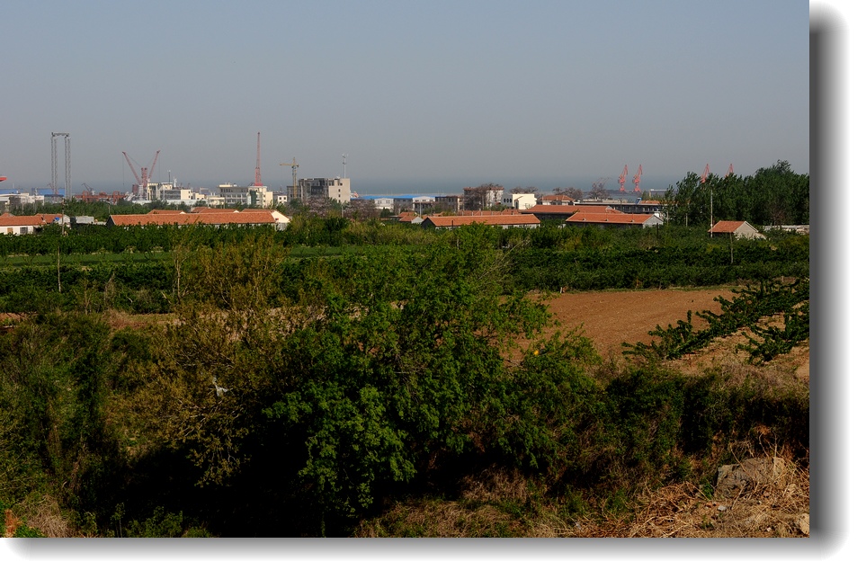 DSC_8302.jpg