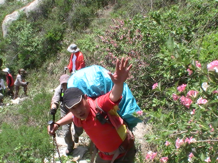 PIC_0542.JPG