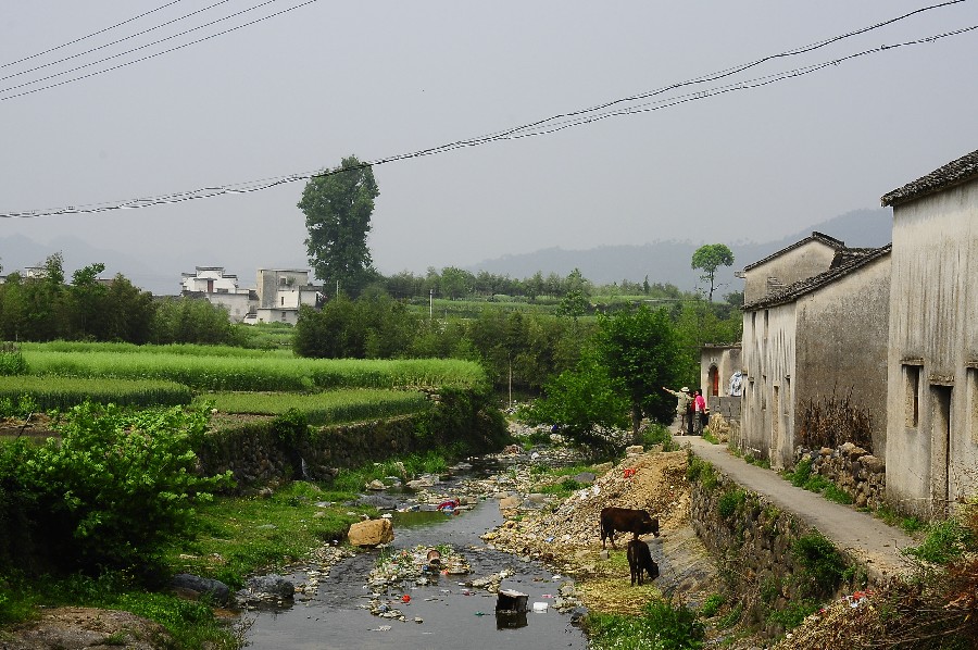 徽杭古道二 218.jpg