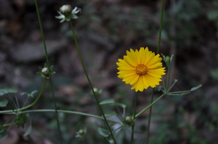 DSC_0005.jpg