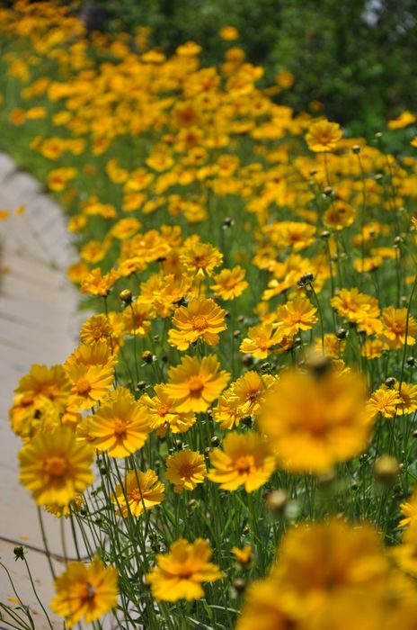 DSC_0112.jpg