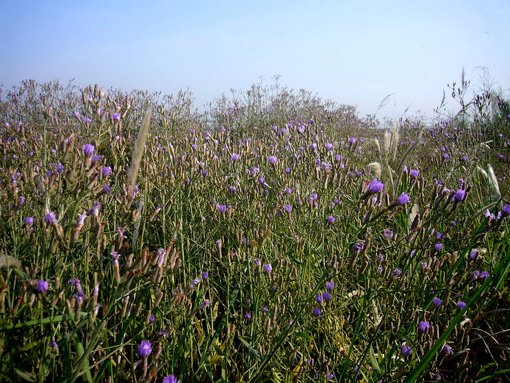 P1190945_缩小大小.JPG