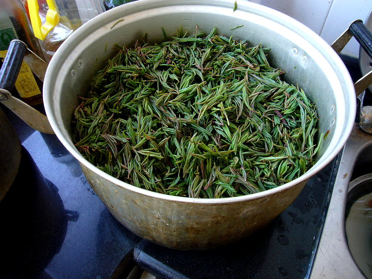 P1190968_缩小大小.JPG
