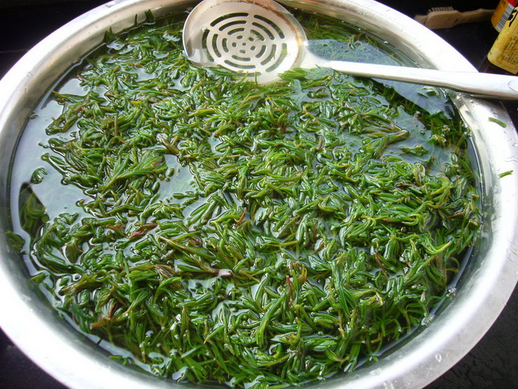 P1190974_缩小大小.JPG
