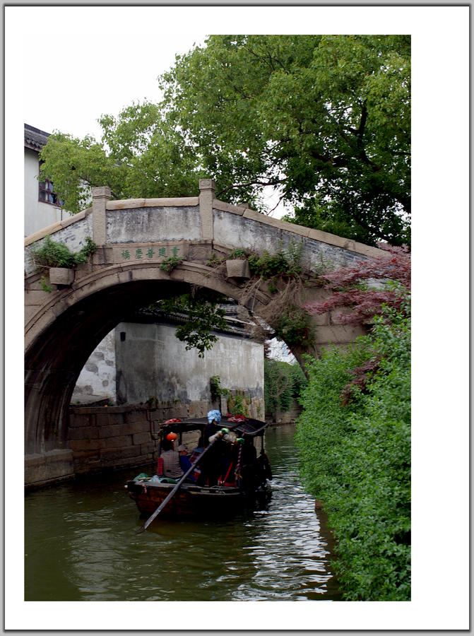 IMGP8013.jpg