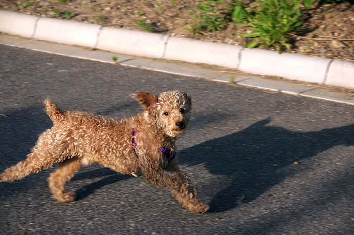 DSC_5788.jpg