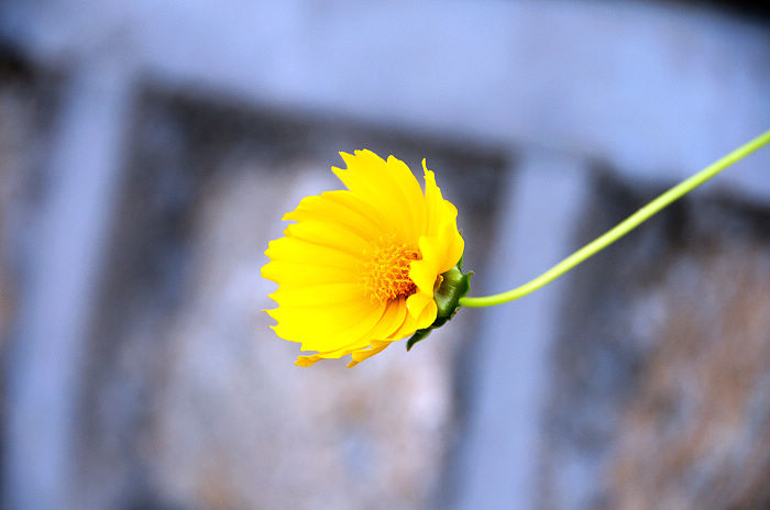 DSC_5809.jpg