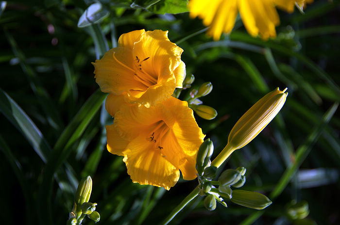 DSC_5814.jpg