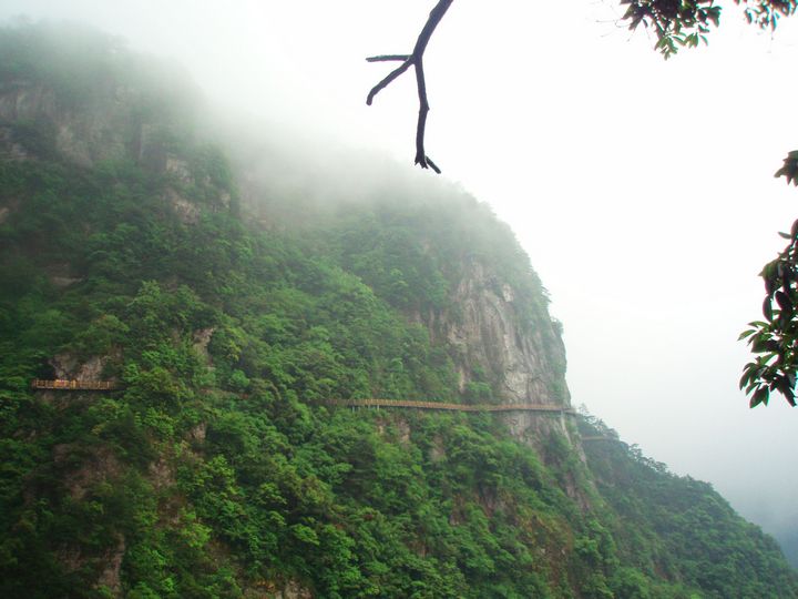 P1010049.JPG