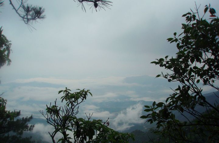 P1010074.JPG