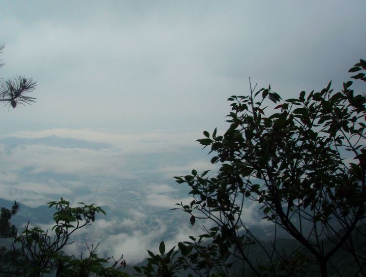 P1010075.JPG