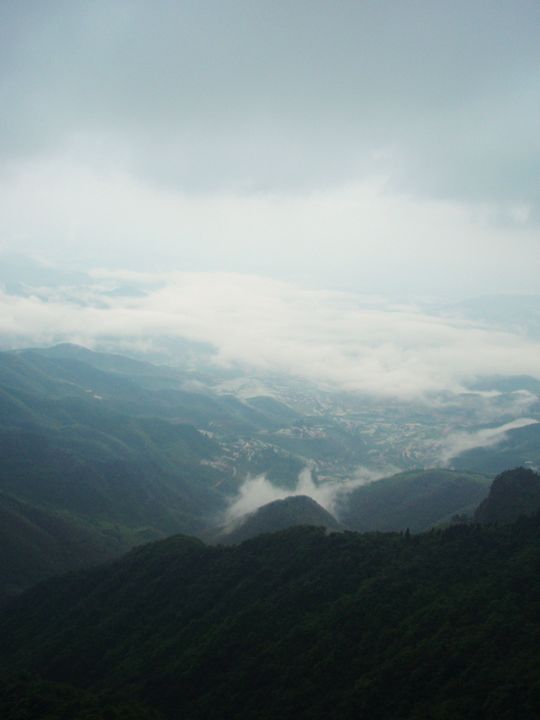 P1010084.JPG