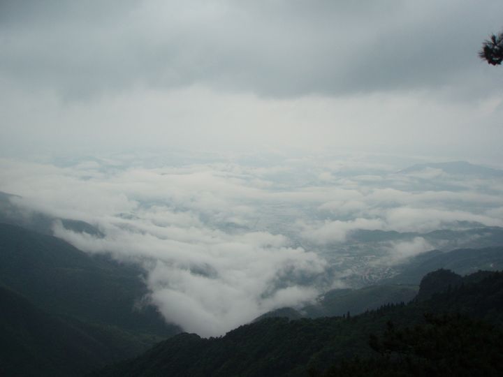 P1010096.JPG