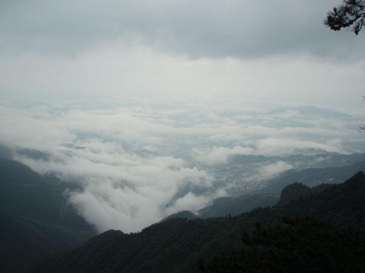P1010097.JPG