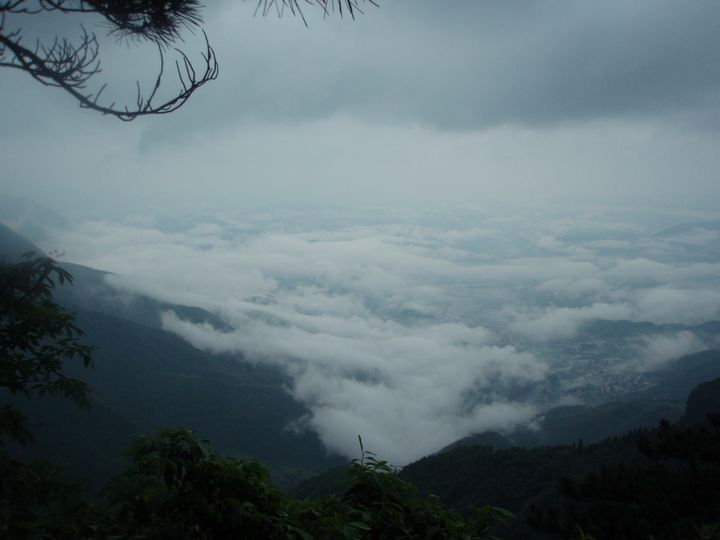 P1010095.JPG