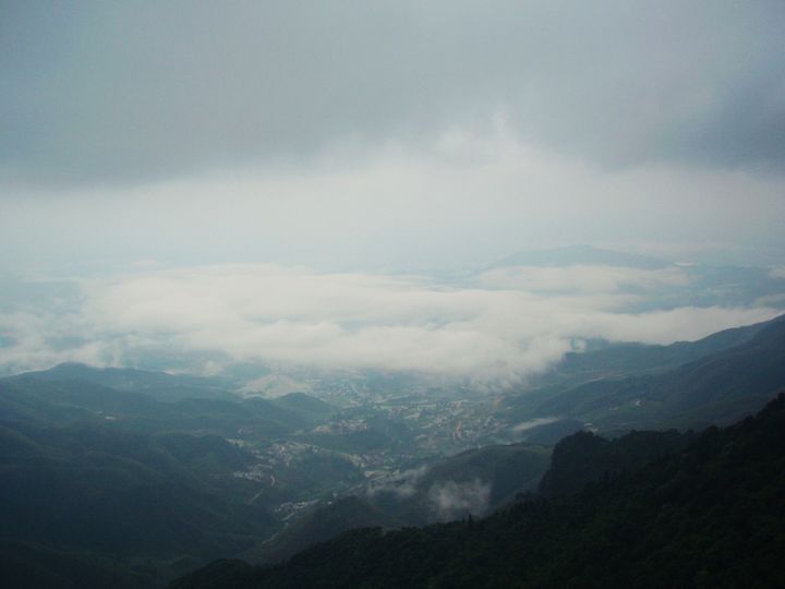 P1010093.JPG