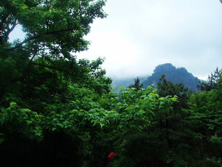P1010126.JPG
