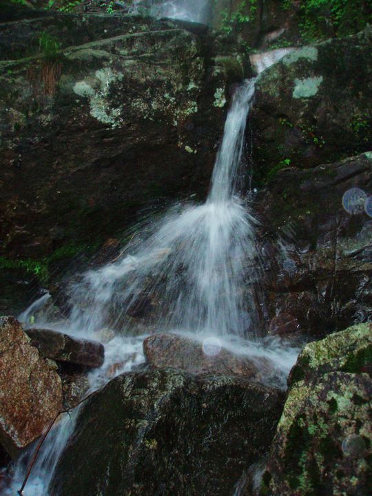 P1010133.JPG