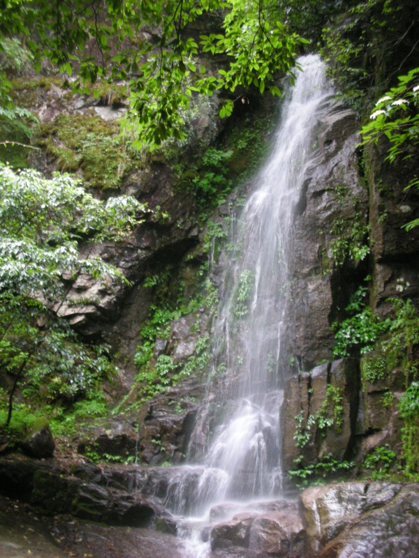 conew_dscn2873.jpg