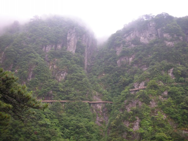 conew_dscn2865.jpg
