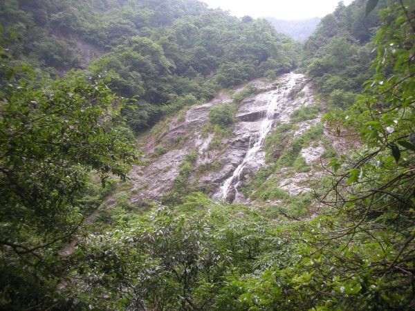 conew_dscn2874.jpg