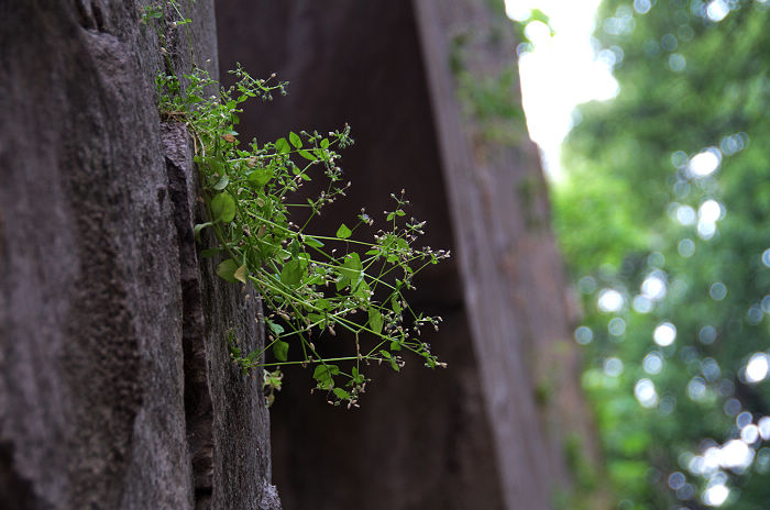 DSC_4934.jpg
