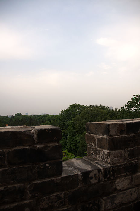 DSC_4928.jpg
