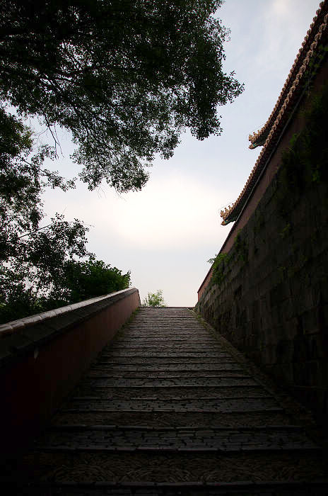DSC_4927.jpg
