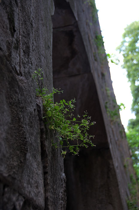 DSC_4935.jpg