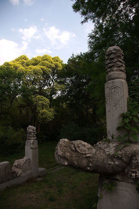 DSC_4940.jpg