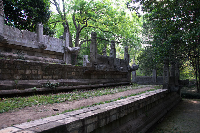 DSC_4946.jpg