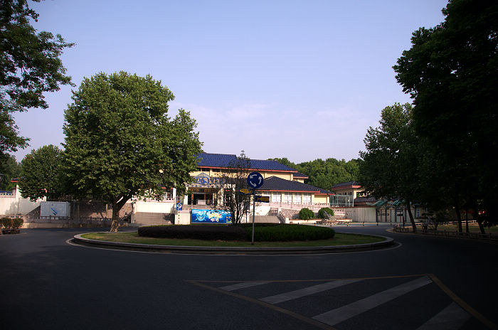 DSC_4953.jpg