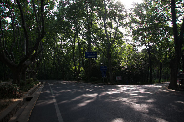 DSC_4962.jpg