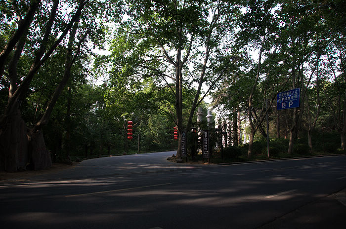 DSC_4963.jpg