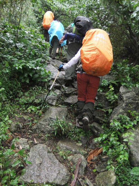 DSCF1741.jpg