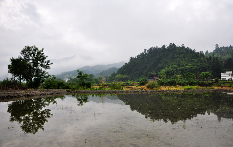 DSC_0600.jpg