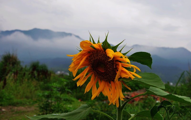 DSC_0624.jpg