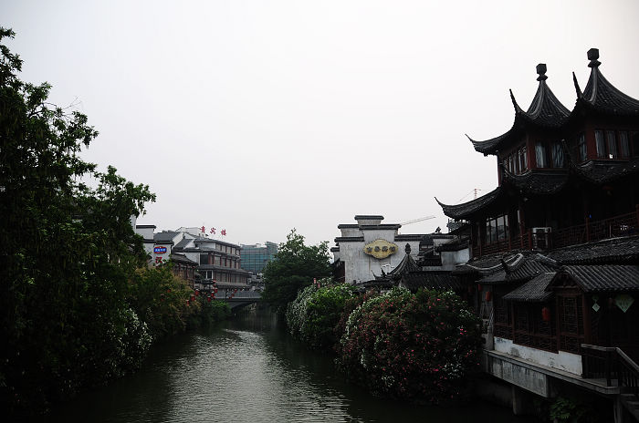 DSC_5521.jpg