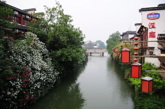 DSC_5526.jpg