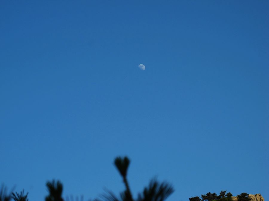 IMG_0048.jpg